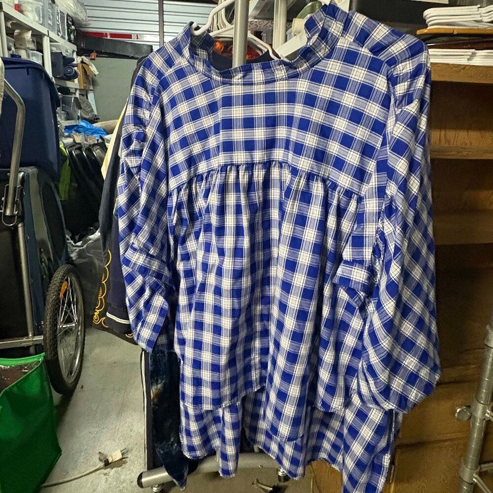 Rachel Comey Blue and White Checkered Shirt, size 3/large